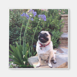 Bumblesnot magnet: The Kid outdoors Magnet