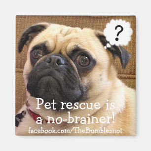 Bumblesnot magnet: The Kid/Pet rescue no-brainer! Magnet