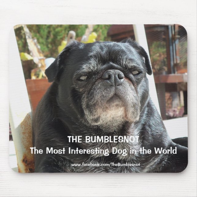 Bumblesnot "Most Interesting" mousepad (Front)