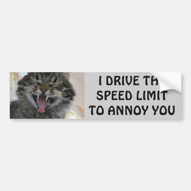Bumper Cat Annoys Speeders Meme Bumper Sticker (Front)