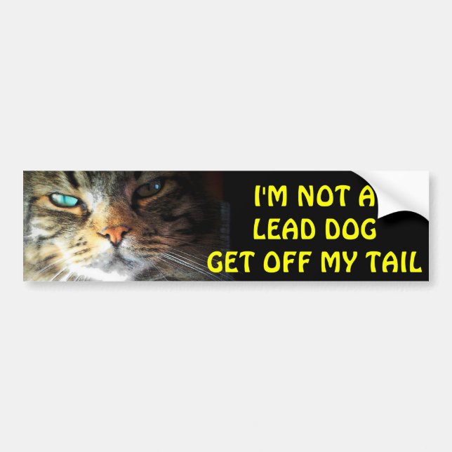 Bumper Cat is Not A Lead Dog Sticker (Front)