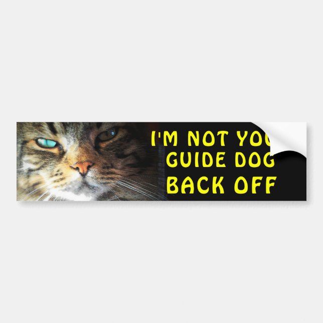 Bumper Cat is Not Your Guide Dog Bumper Sticker (Front)