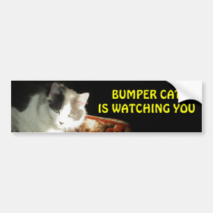 Bumper Cat is watching 2 Bumper Sticker