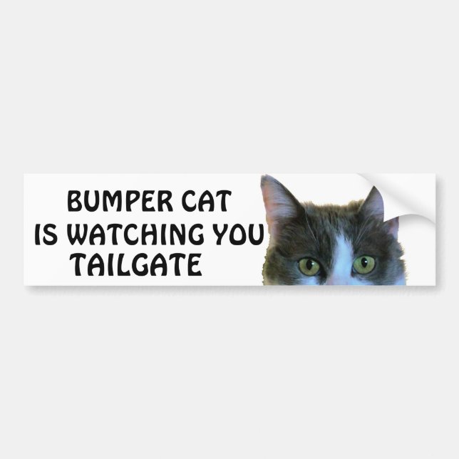 Bumper Cat is watching  Meme TAILGATE 28 Sticker (Front)