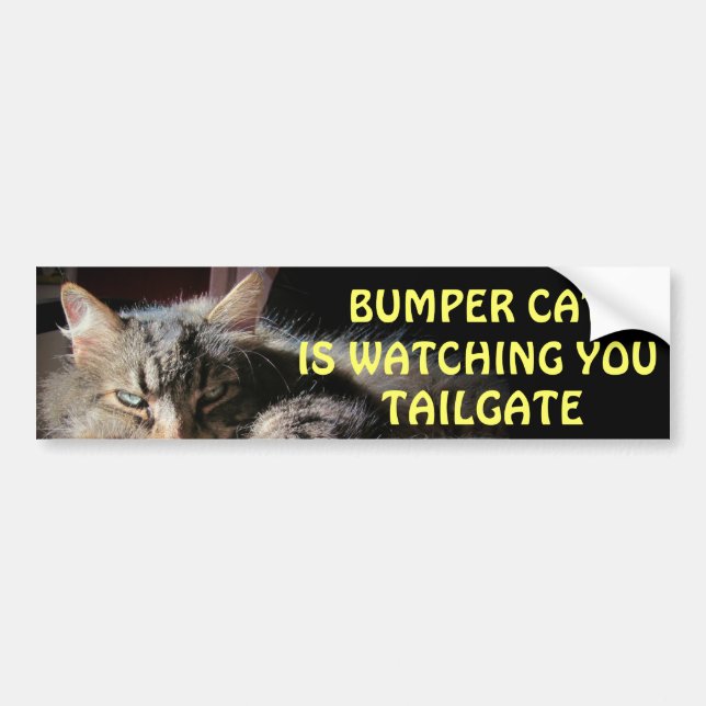 Bumper Cat is watching TAILGATE 15 Sticker (Front)