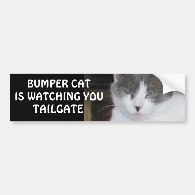 Bumper Cat is watching TAILGATE 18 Sticker (Front)