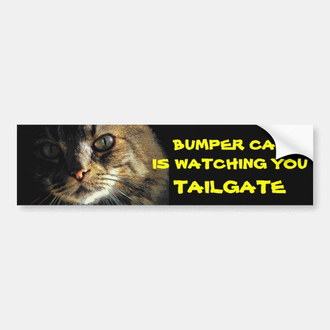 Bumper Cat is watching TAILGATE 23 Bumper Sticker (Front)