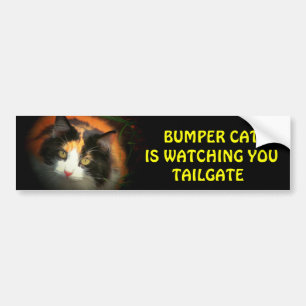 Bumper Cat is watching TAILGATE 26 Sticker