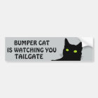 Bumper Cat is watching TAILGATE 29
