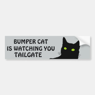 Bumper Cat is watching TAILGATE 29 Sticker