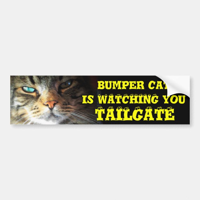 Bumper Cat is watching TAILGATE 2 (eyeball font) Bumper Sticker (Front)