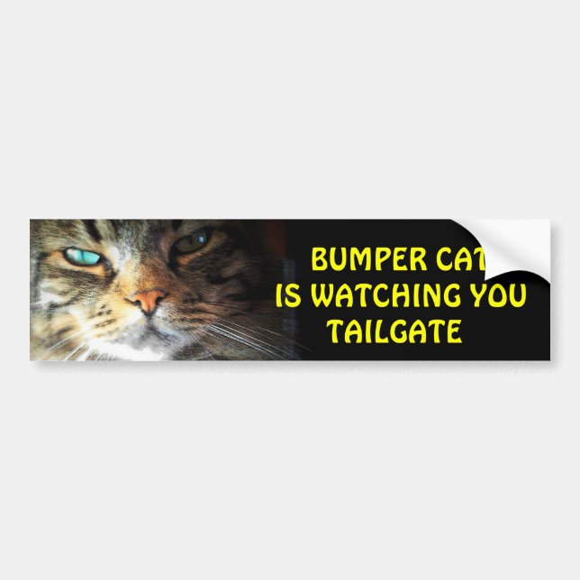 Bumper Cat is watching TAILGATE 2 Sticker (Front)
