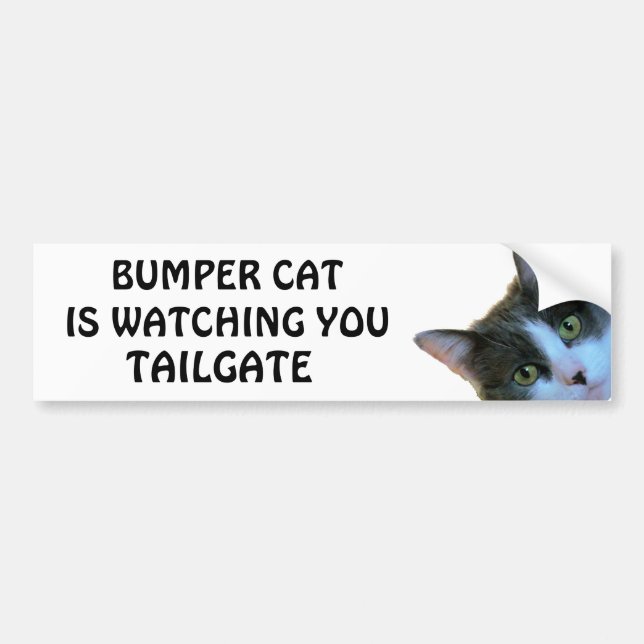 Bumper Cat is watching TAILGATE 30 Bumper Sticker (Front)