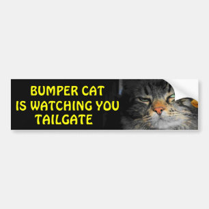 Bumper Cat is watching TAILGATE 34 Sticker