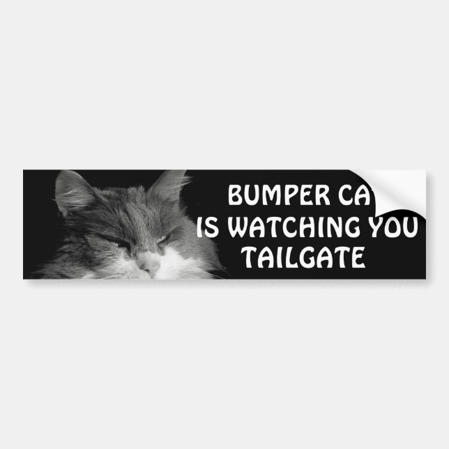 Bumper Cat is watching TAILGATE 36 Meme Bumper Sticker (Front)