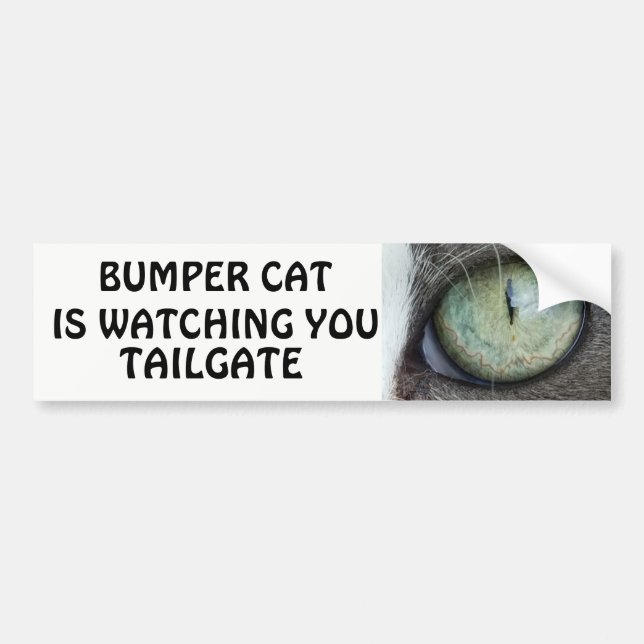 Bumper Cat is watching TAILGATE 38 Bumper Sticker (Front)