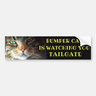 Bumper Cat is watching TAILGATE 41 Meme Sticker