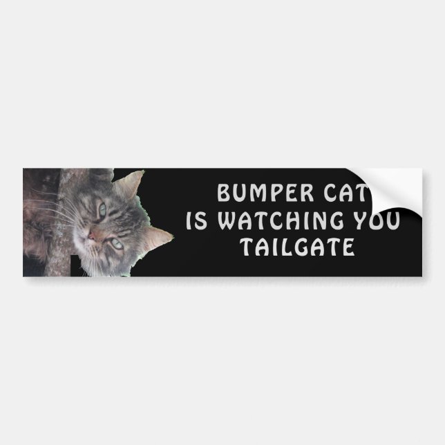 Bumper Cat is watching TAILGATE 45 Sticker (Front)