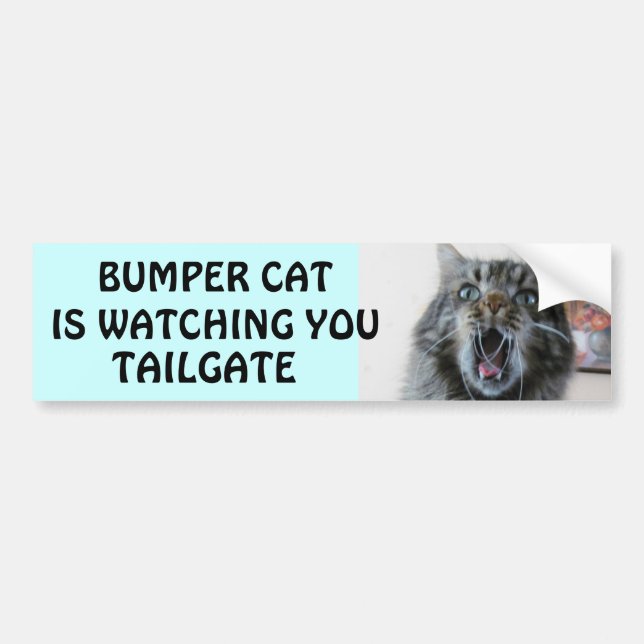 Bumper Cat is watching TAILGATE 7 Sticker (Front)