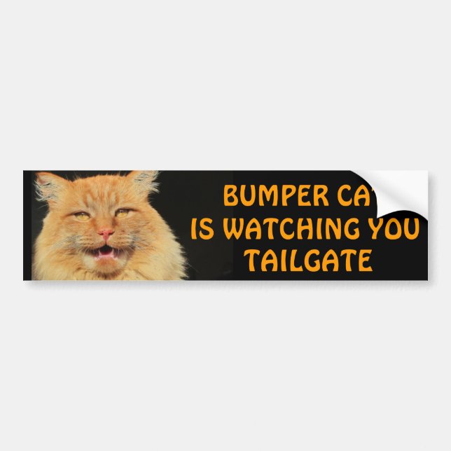 Bumper Cat is watching you TAILGATE 13 Meme Sticker (Front)