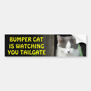Bumper Cat is Watching You TAILGATE 4 Sticker