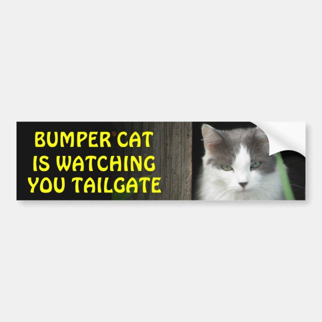 Bumper Cat is Watching You TAILGATE 4 Sticker (Front)