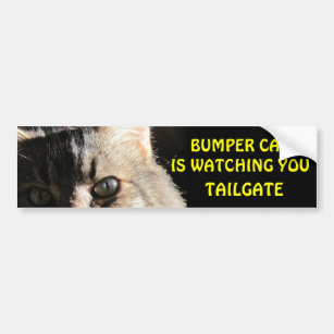Bumper Cat is Watching You TAILGATE 5 Bumper Sticker