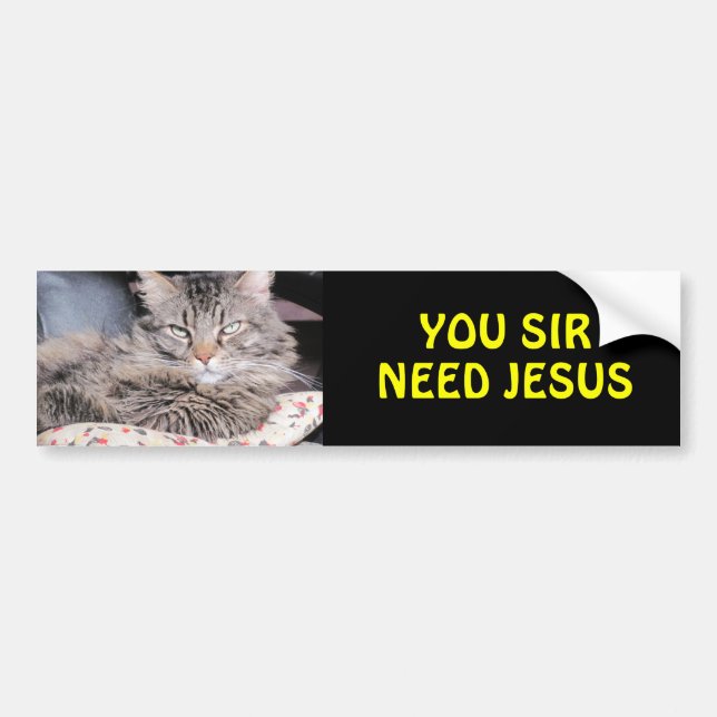 Bumper Cat Says, You Sir Need Jesus Sticker (Front)