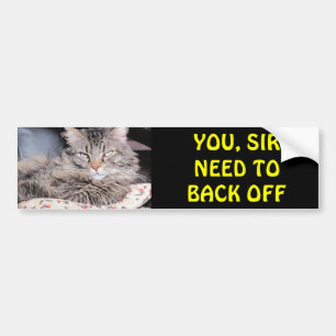 Bumper Cat Says, You Sir Need To Back Off Bumper Sticker