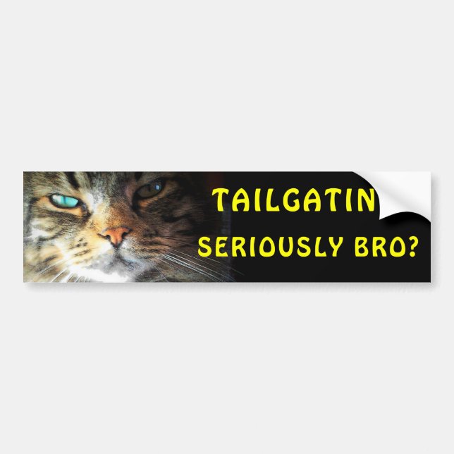 Bumper Cat: Tailgating? Seriously Bro? Meme Sticker (Front)