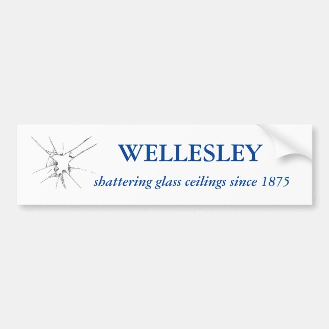 Bumper Sticker (Front)