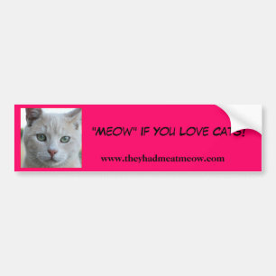 Bumper Sticker