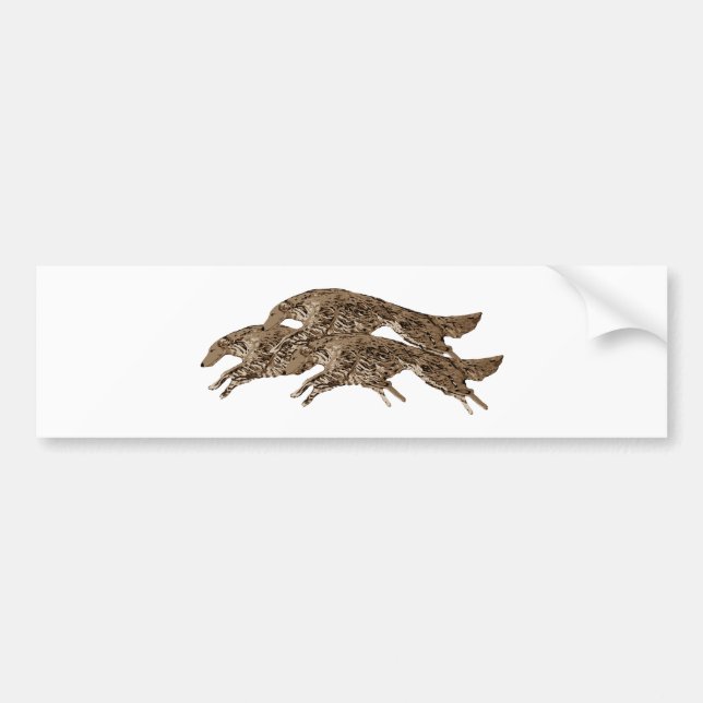   BUMPER STICKER (Front)