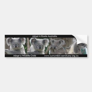 Bumper Sticker Adopt A Koala Australia