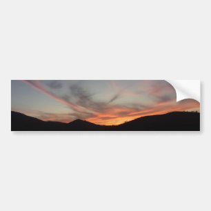 Bumper Sticker ART AND DESIGN STYLE 