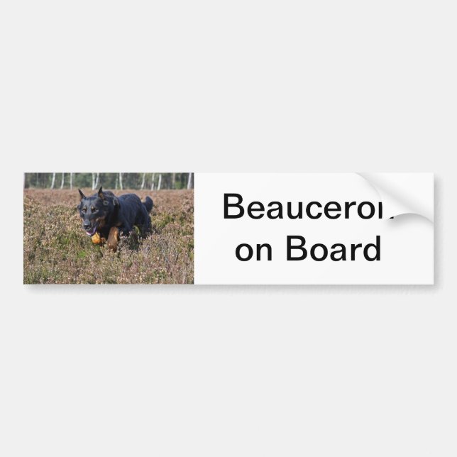 bumper sticker beauceron (Front)