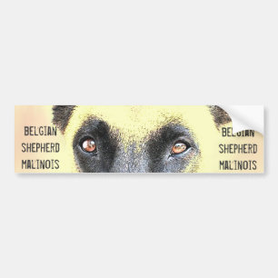 Bumper Sticker belgian shepherd malinois