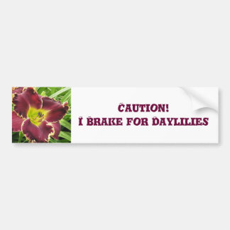 Bumper Sticker Brake for Daylilies