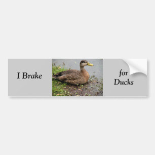 Bumper Sticker, Brake for Ducks Sticker