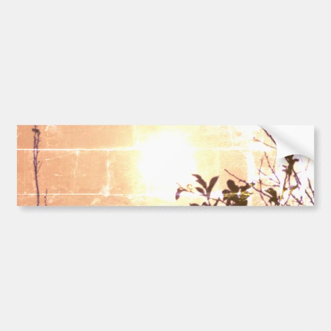 Bumper Sticker COOL ECO DESIGN (Front)