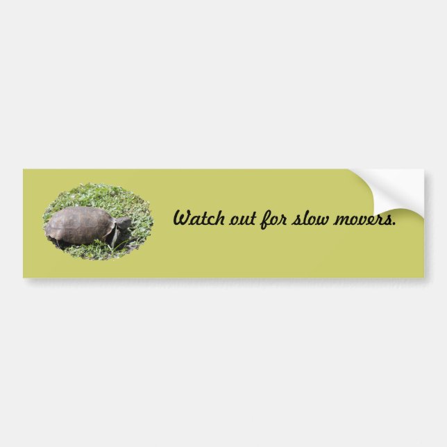 Bumper Sticker, Gopher Tortoise Bumper Sticker (Front)