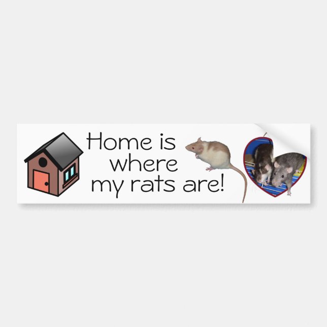 Bumper Sticker: Home is where my rats are! Sticker (Front)