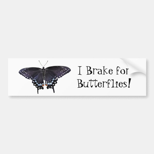 Bumper Sticker I Brake for Butterflies Swallowtail (Front)