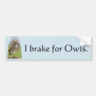 Bumper Sticker I brake for Owls with Burrowing Owl