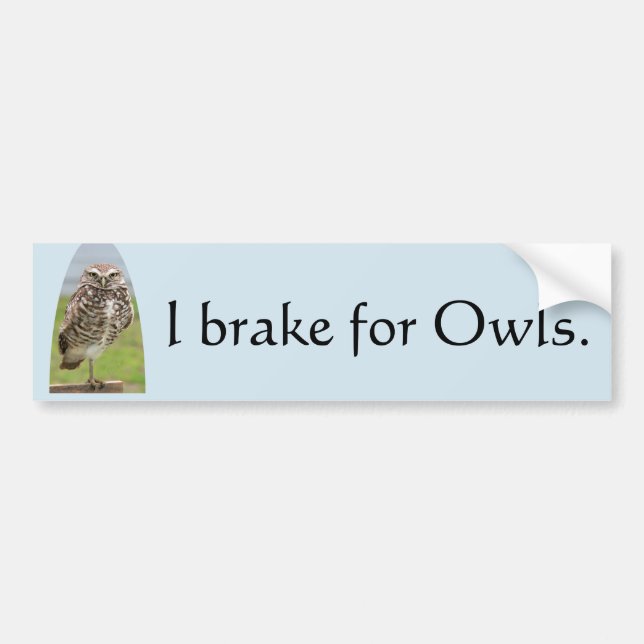 Bumper Sticker I brake for Owls with Burrowing Owl (Front)