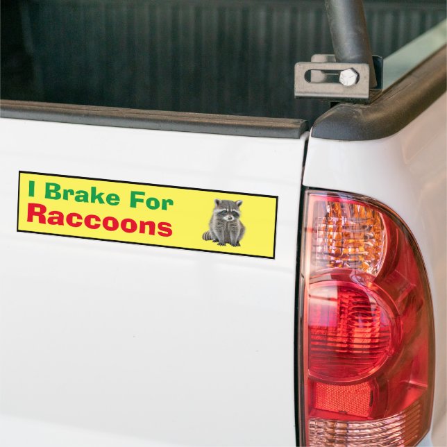 Bumper Sticker - I Brake for Raccoons (On Truck)