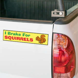 Bumper Sticker - I Brake for Squirrels 