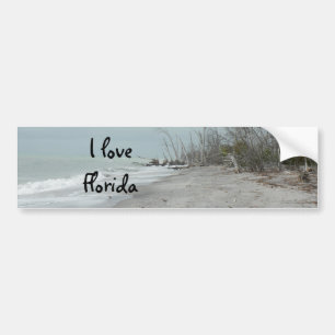 Bumper Sticker, I love Florida Sticker