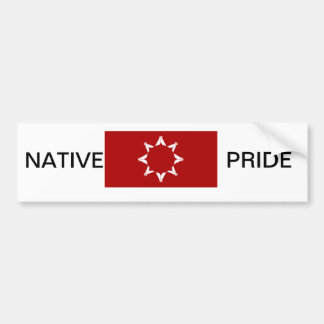 BUMPER STICKER -LAKOTA