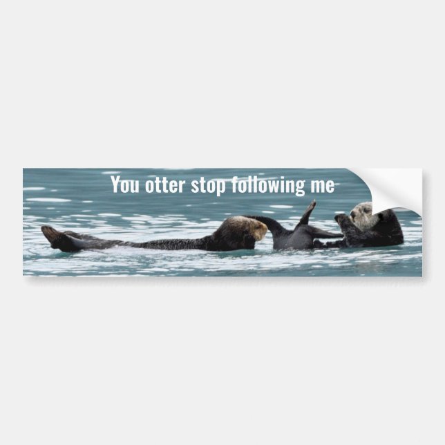 Bumper Sticker of otters (Front)